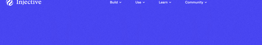 Injective.com blockchain architecture showing validators and cross-chain features.