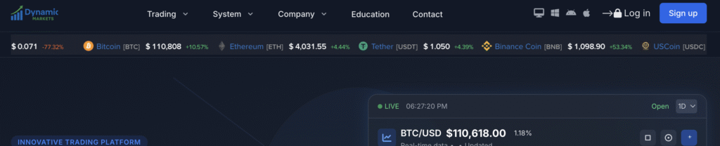 Dynamiq Markets homepage screenshot