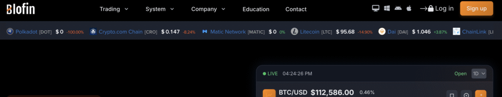 Blofinext.com scam review fake trading website