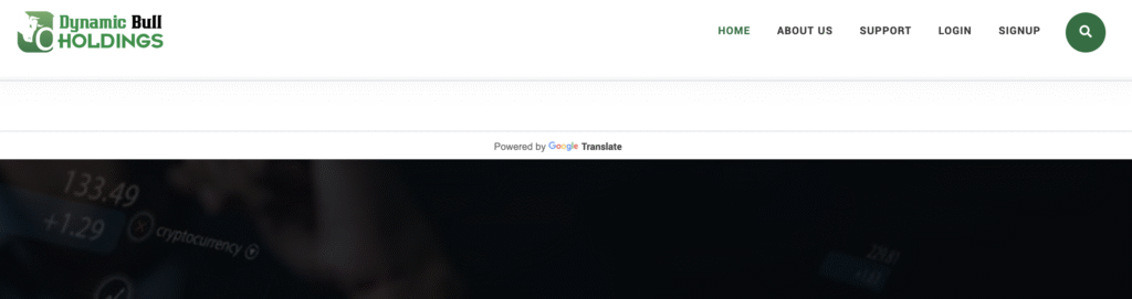 DynamicBullHoldings.com homepage screenshot showing investment offers