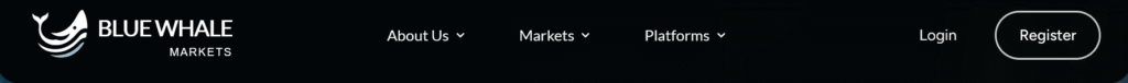 Screenshot of Blue Whale Markets.com homepage