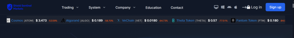 Screenshot of Shieldsentinelmarket.com homepage